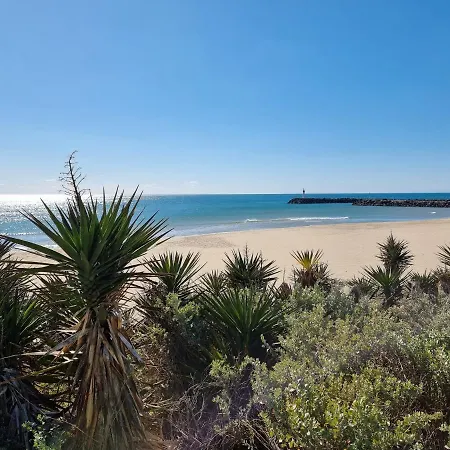 207 Cap D'agde Naturiste Grand T2 De Standing Avec Garage Apartment *