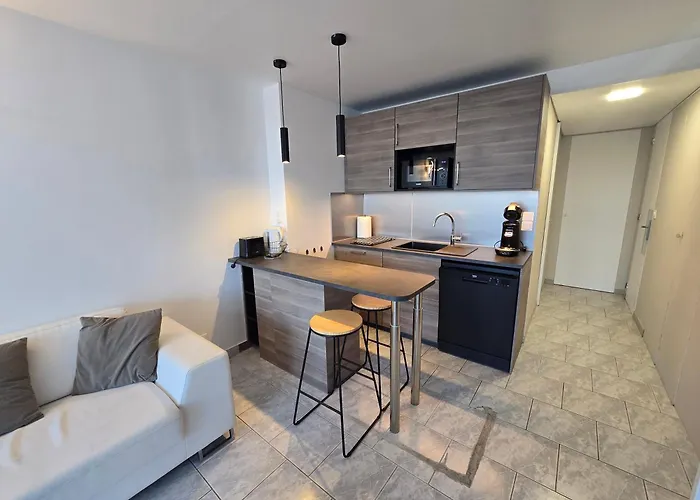 2cap D'agde Naturiste Grand T2 De Standing Avec Garage Prive آجد