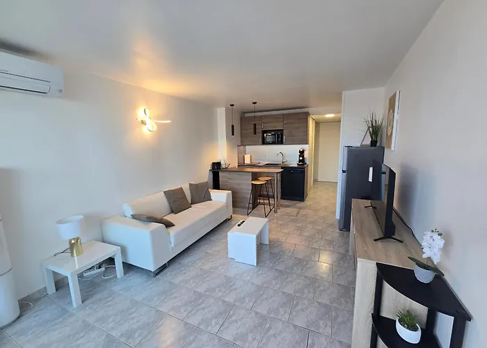 2cap D'agde Naturiste Grand T2 De Standing Avec Garage Prive آجد