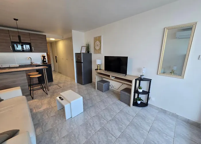 شقة 2cap D'agde Naturiste Grand T2 De Standing Avec Garage Prive آجد
